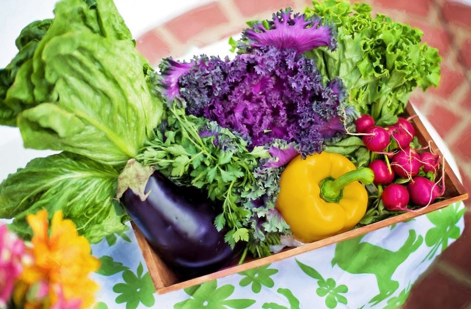 healthy fruits