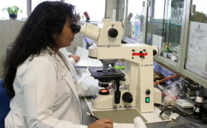 simulation-based learning for better future healthcare