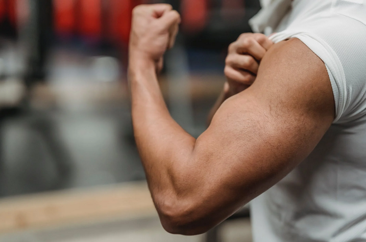 muscular arm